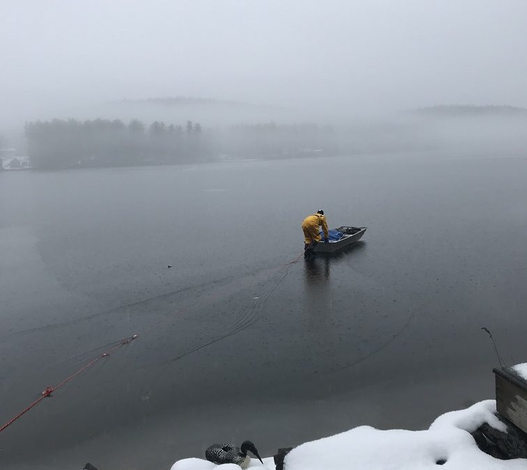 Lovell Lake Loon Rescue