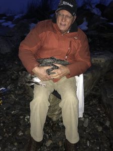 Craig Rowley holding Loon before releasing on coast