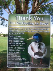 Sign Showing Reasons To Not Feed Ducks