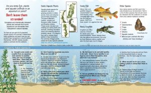 Screenshot of Exotic Aquatics Brochure