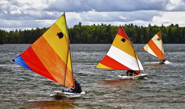 Sunfish sailboats racing on a lake