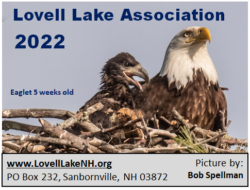 Image of 2022 Lovell Lake Association member decal