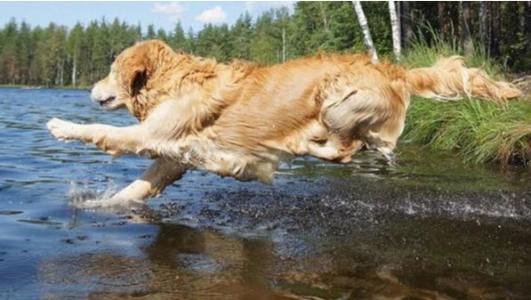 Photo of snow-covered lake